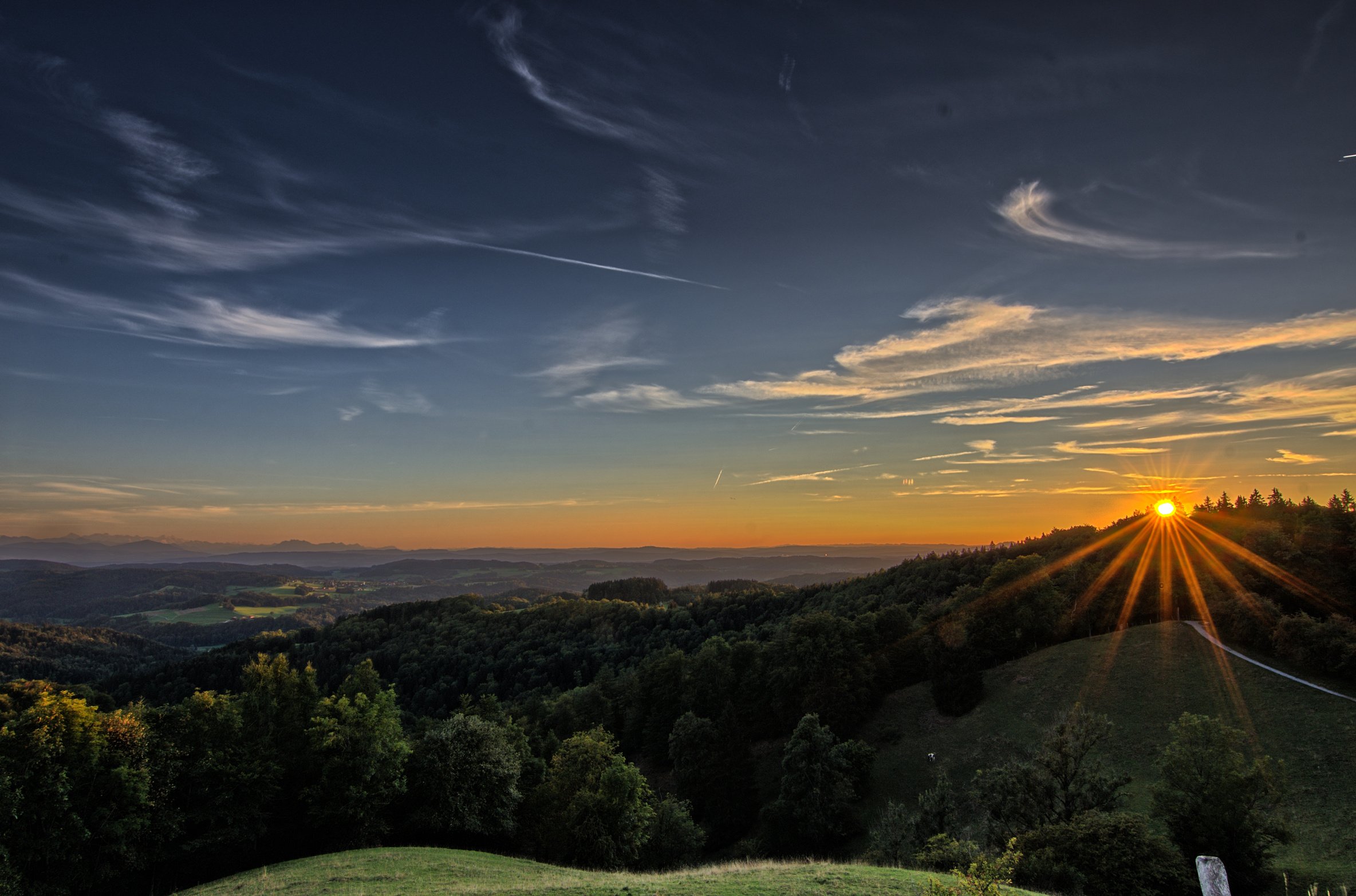 Nature Photography of Trees during a Sunset